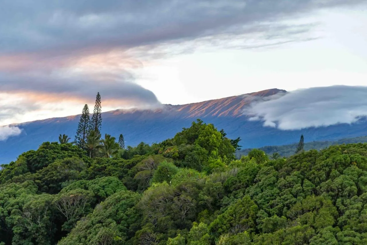 Plumeria Room On A Lush Farm On Maui'S North Shore Huelo