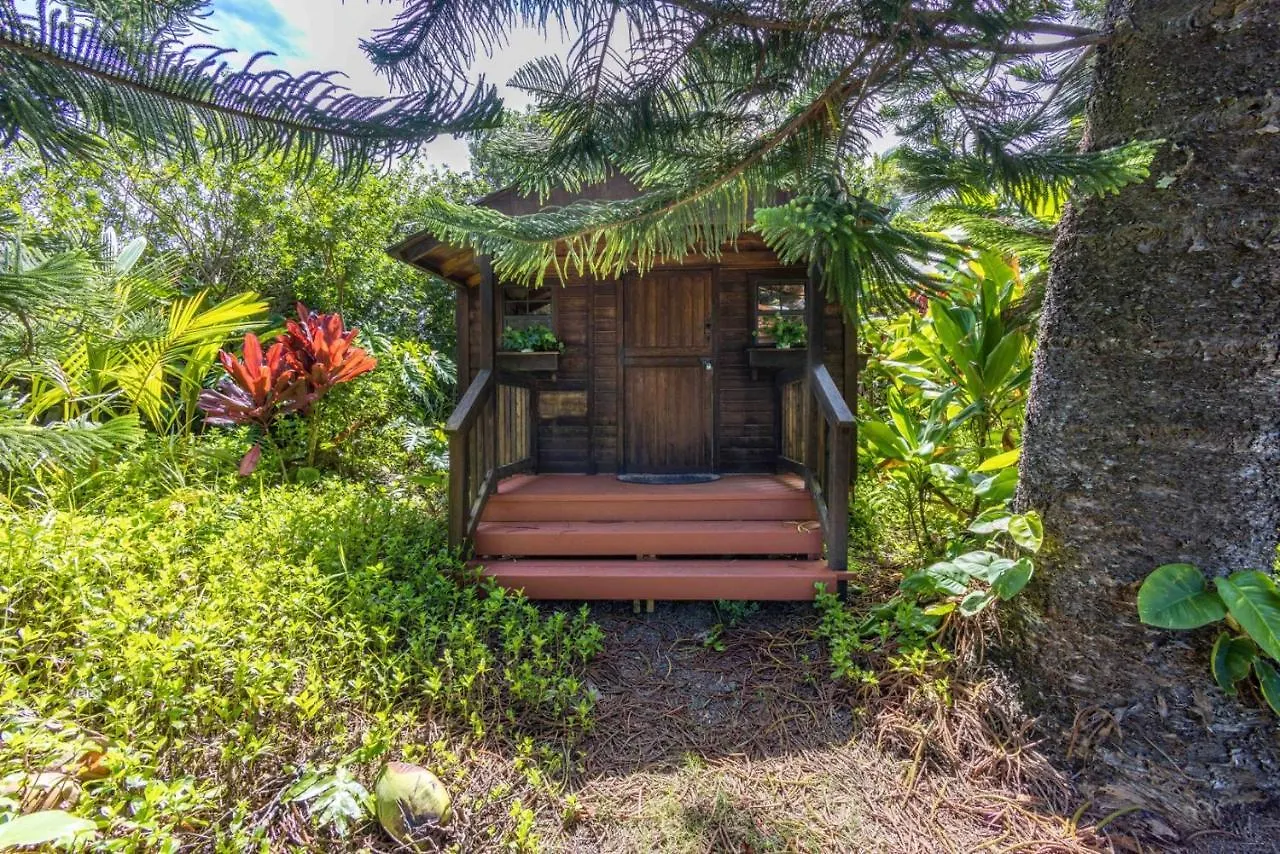 Plumeria Room On A Lush Farm On Maui'S North Shore Huelo 0*,  United States